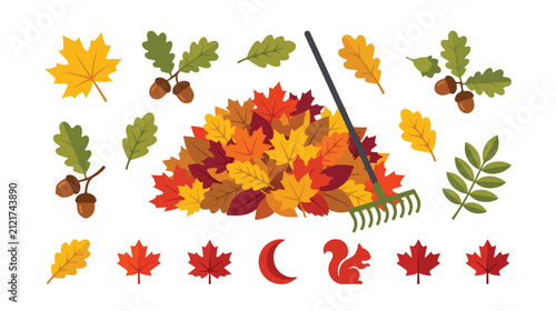 Autumn leaves vector collection, vibrant fall foliage and acorns, a pile of colorful maple and oak leaves with a rake, seasonal nature elements for design projects