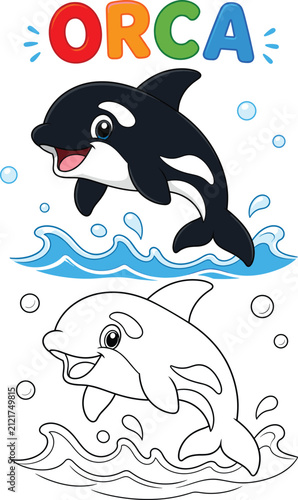 Cute Orca Coloring Page and Colored Cartoon Vector Illustration for Kids Educational Worksheet