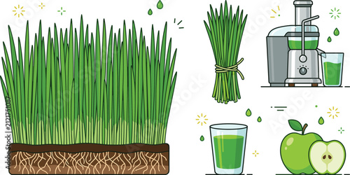 фотографія Wheatgrass vector illustration set featuring growing grass patch with roots, juice extractor machine, healthy green shots, bundled grass, and apples isolated on white background