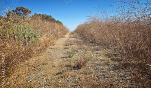 A Dirt Road