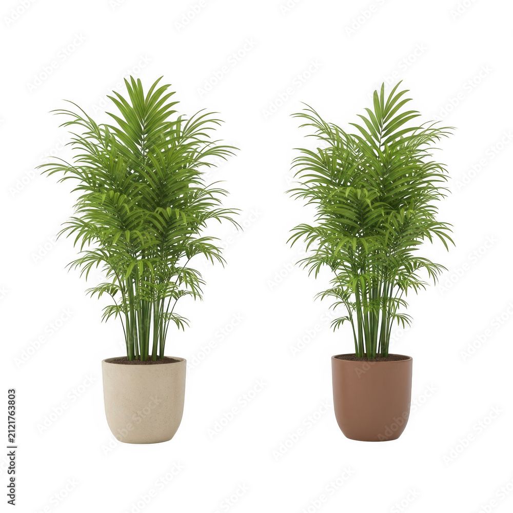 Fototapeta premium Two potted green indoor plants on shelves
