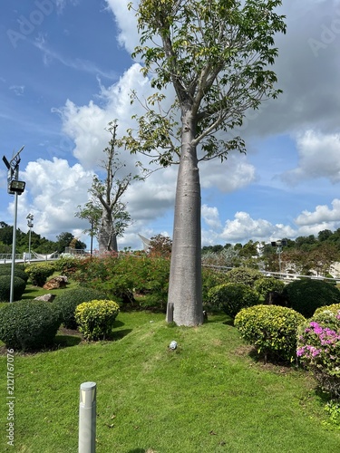 Bandar Seri Begawan is the capital of Brunei, a tiny nation on the island of Borneo.