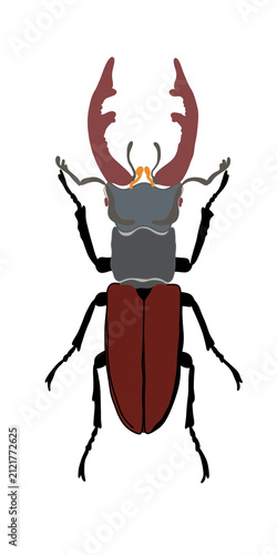 Vector illustration of a stag beetle isolated on transparent or white background, png