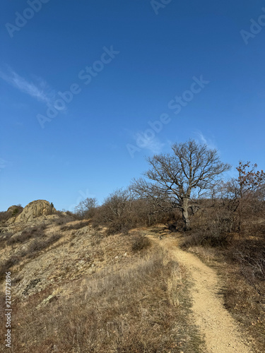 Dirt trail in dry mountain landscape with tree and rocky hill under clear sky.