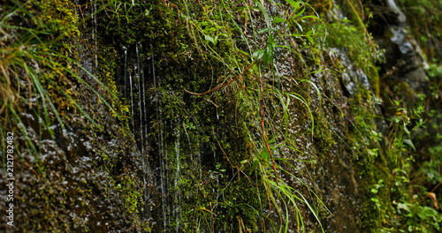 Obraz na płótnie Water streaming down mossy rock wall in norway