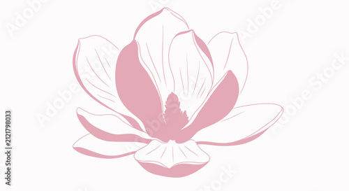 Elegant pink magnolia flower isolated on white background vector illustration