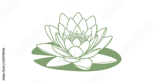 Elegant vector illustration of a water lily flower with leaf on white background