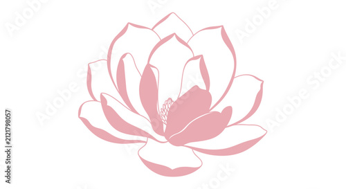 Elegant vector illustration of a pink magnolia flower on white background