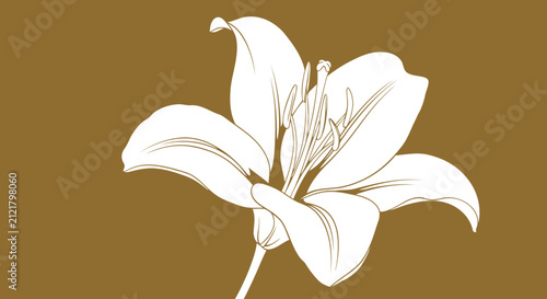 Elegant lily flower illustration botanical line art on earthy background