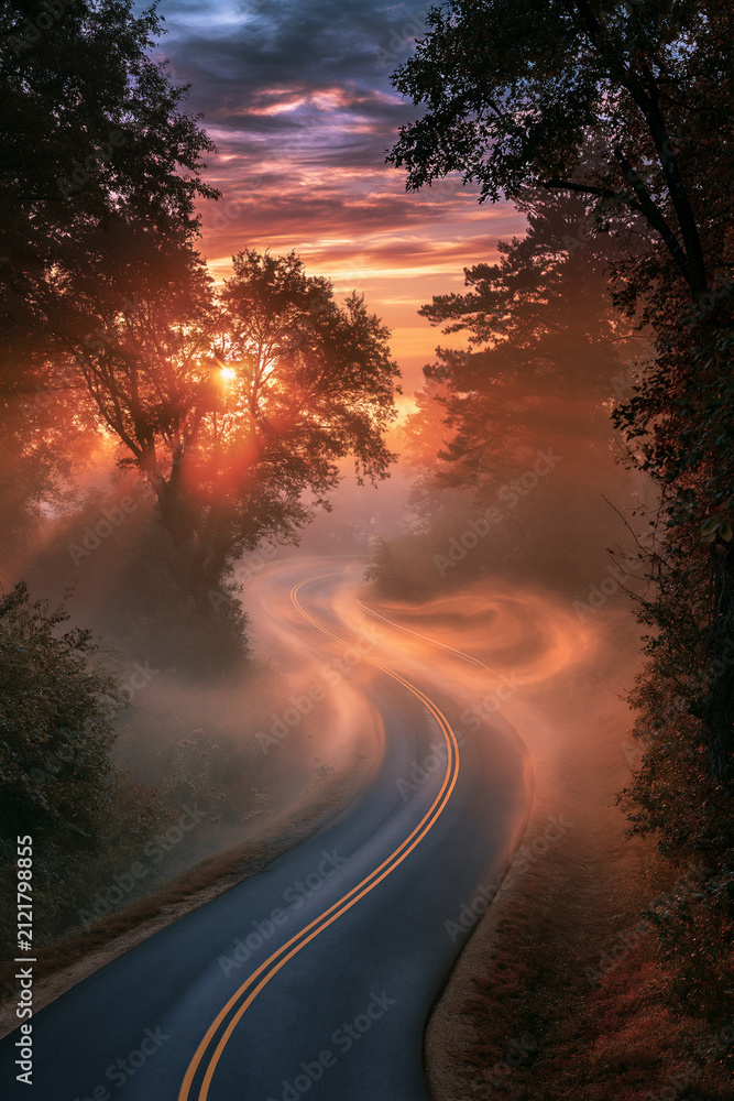 Naklejka premium misty road emerging into sunrise light, serpentine asphalt through morning fog, ethereal dawn landscape with winding road