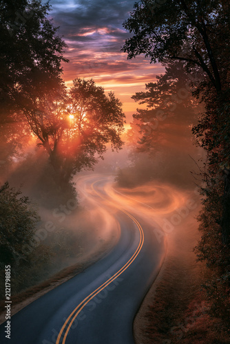 misty road emerging into sunrise light, serpentine asphalt through morning fog, ethereal dawn landscape with winding road