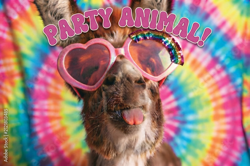 Party Animal - Funny Donkey Wearing Heart Sunglasses