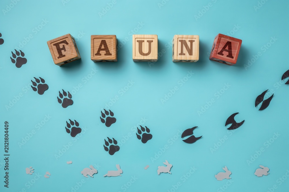 Fototapeta premium Wooden blocks spelling the word fauna with animal paw prints and silhouettes on a blue background