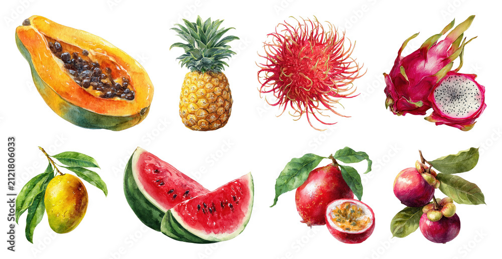 Obraz premium PNG Tropical fruits watercolor illustration, transparent background