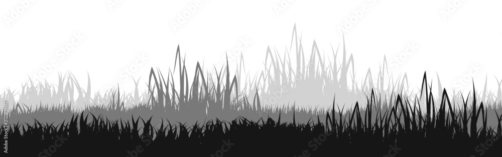 Fototapeta premium Meadow silhouette with grass, plants on plain. Panoramic summer lawn landscape with herbs, various weeds. Herbal border, frame element. Black horizontal banners. Vector illustration