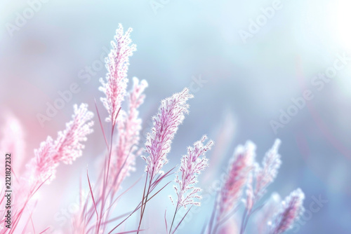 Pink Grass Flower Soft Focus Background
