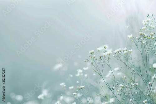 Blue White Baby Breath Floral Background