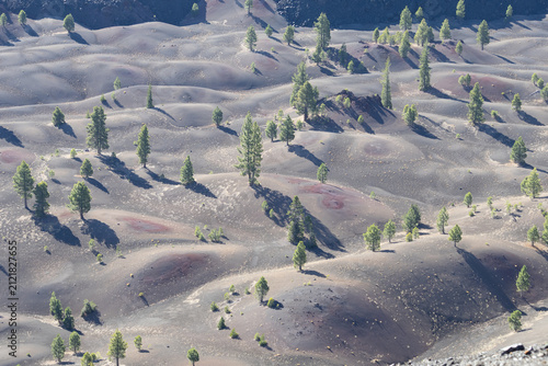 Fotografie Painted Dunes volcanic landscape viewed from Cinder Cone in Lassen Volcanic Nati