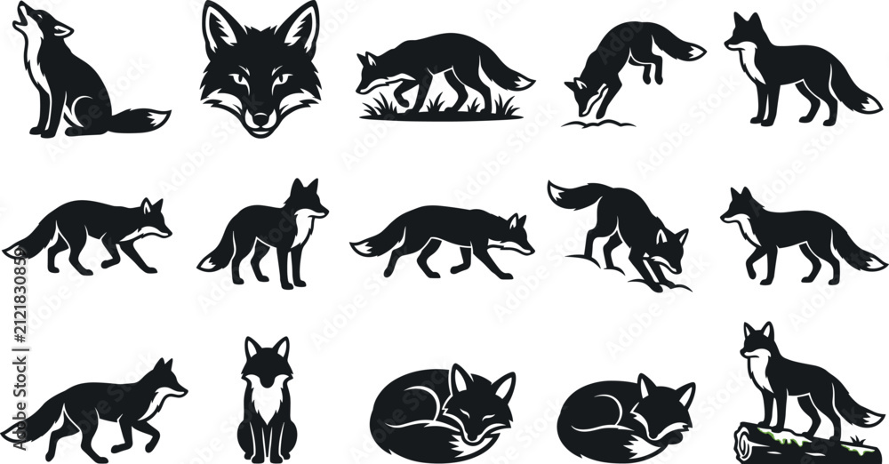 Obraz premium Collection of Fox Silhouettes in Diverse Poses During Daytime Against White Background Vector Style