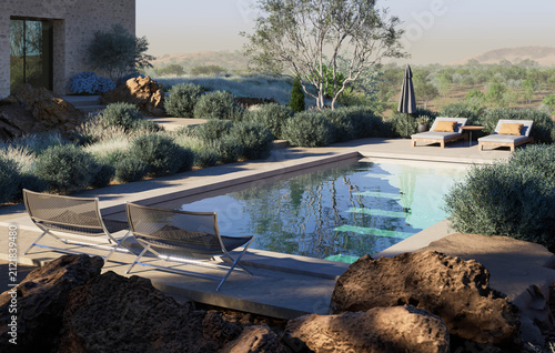 Luxury Modern Villa with Swimming Pool and Sunbeds in Nature