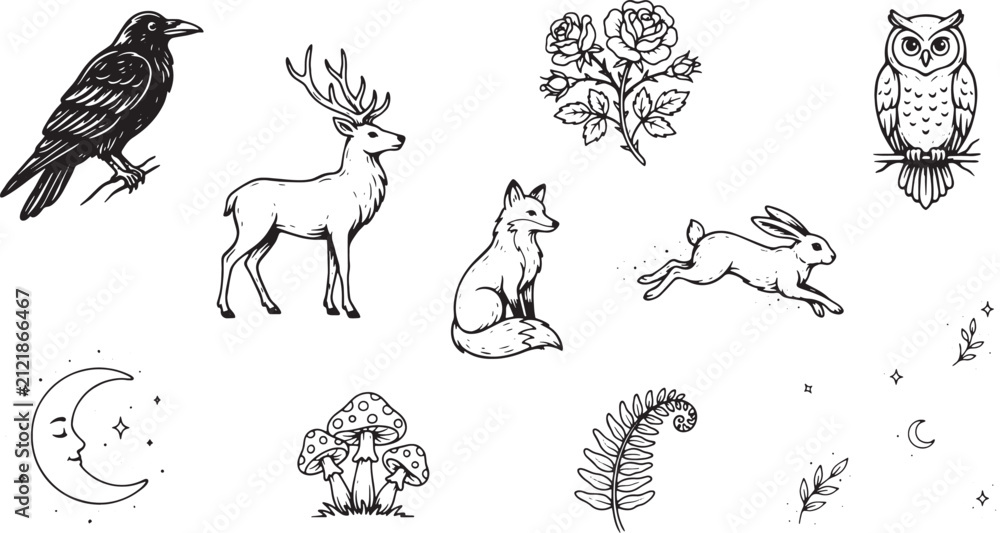 Obraz premium Assortment of black and white woodland animal and nature themed line isolated on a white background for