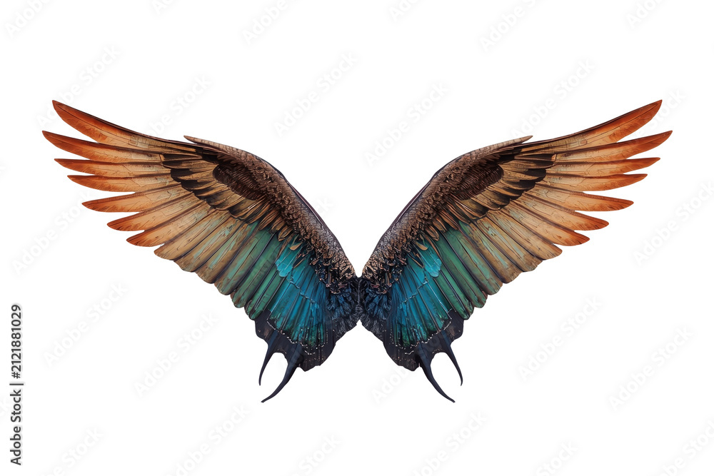 Fototapeta premium Wide pair of brown and blue feathered wings