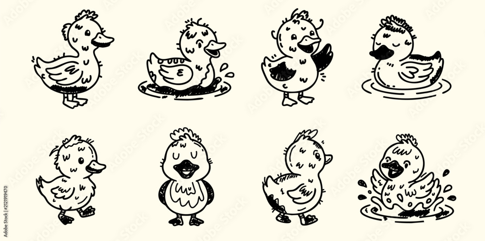 Fototapeta premium cute little ducklings swimming and playing happily in water