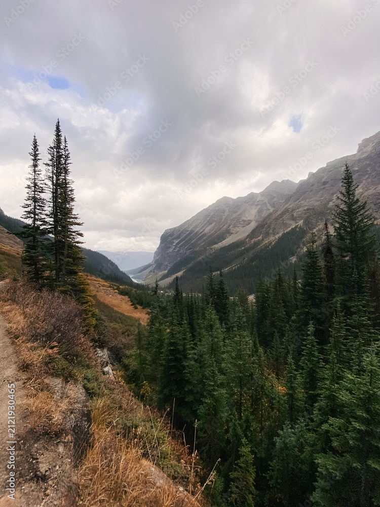 Obraz premium Mountain valley with dramatic clouds and evergreen forest.