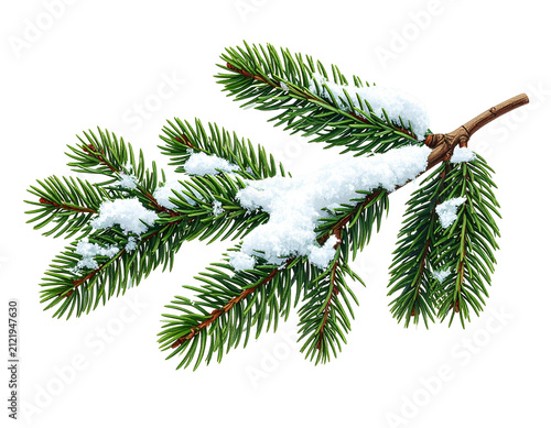 Snow Covered Fir Branch Isolated on Transparent Background