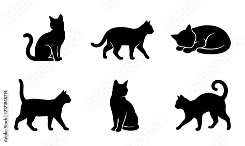 Foto Black Cat Silhouettes Set: Feline Poses, Vector Icons for Pet Lovers, Animal Gra