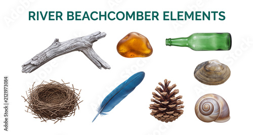 River beachcomber elements set with driftwood shell feather glass bottle and pinecone, realistic object collection on transparent