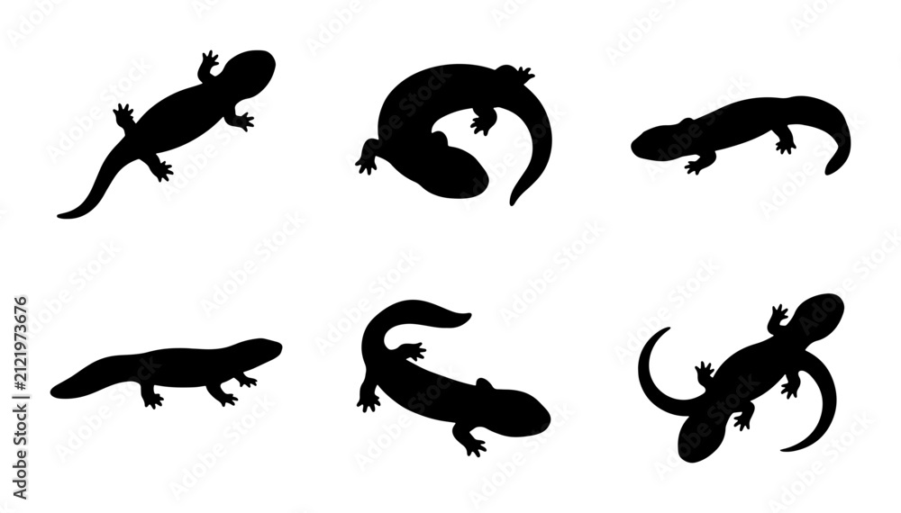 Obraz premium Salamander Silhouettes, Amphibian Vector Icons, Reptile Wildlife Graphics, Nature Animal Set