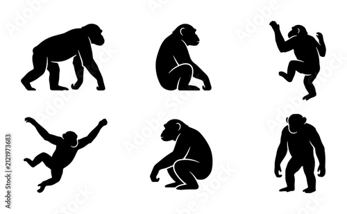 Primate Silhouettes Collection, Ape Poses Vector Set, Chimpanzee Animal Graphics