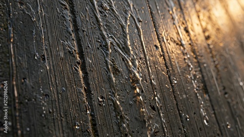 Close-up of Wet Wooden Planks with Sunlight Glinting.