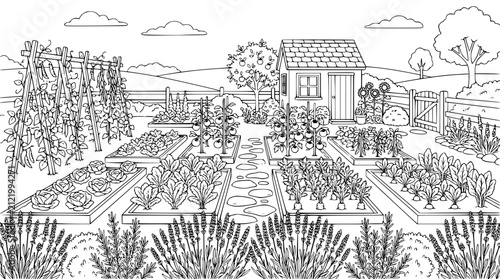 Vegetable Garden Coloring Page with Raised Beds and Garden Shed