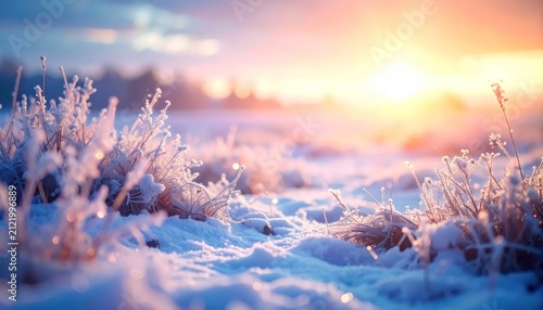Frosty winter sunrise over snow-covered field with delicate ice crystals on grass