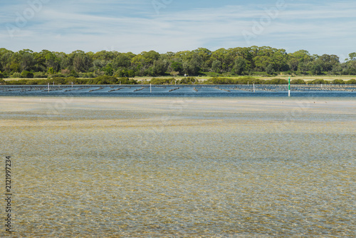 Oyster farming infrastructure, well-known in this area, can be seen in the deeper water across the very shallow closer waters of this tidal coastal lake at Merimbula in New South Wales, Australia.