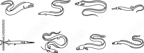 Photography Eel outline vector set featuring diverse elongated fish species drawings