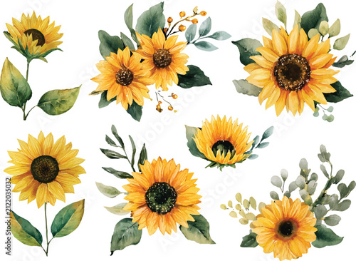set of sunflower
