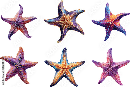 set of colorful starfishes