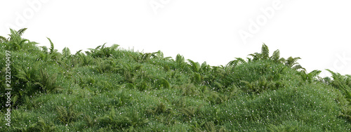 3d dense green foliage with small white flowers, a natural plant border with lush leaves and delicate blossoms, ideal for landscaping and spring themes