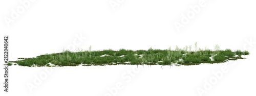 3d Green ground cover with small white flowers and leaves, natural growth on transparent background