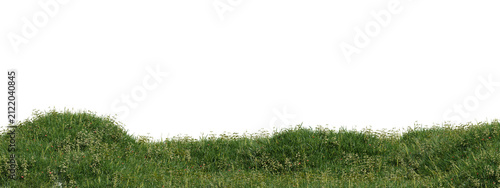 3d Green hedge border with small red flowers, lush foliage, natural grass on transparent background