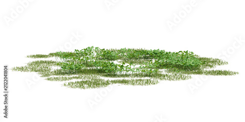 Isolated clump of 3d green grass with distinct leaves and blades on a transparent background, natural growth pattern