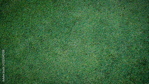 Green grass background, top view background of garden bright grass concept used for making green backdrop.