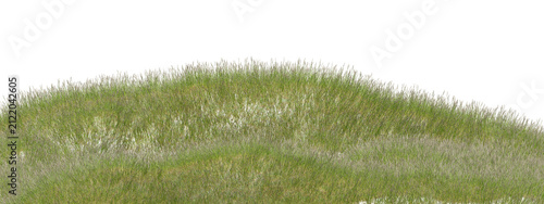 isolated patch of 3d lush green grass, detailed texture and natural growth, suitable for ecological themes on transparent background