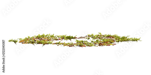 Small patch of 3d green grass and fallen leaves on a transparent background, natural elements, growth and decay