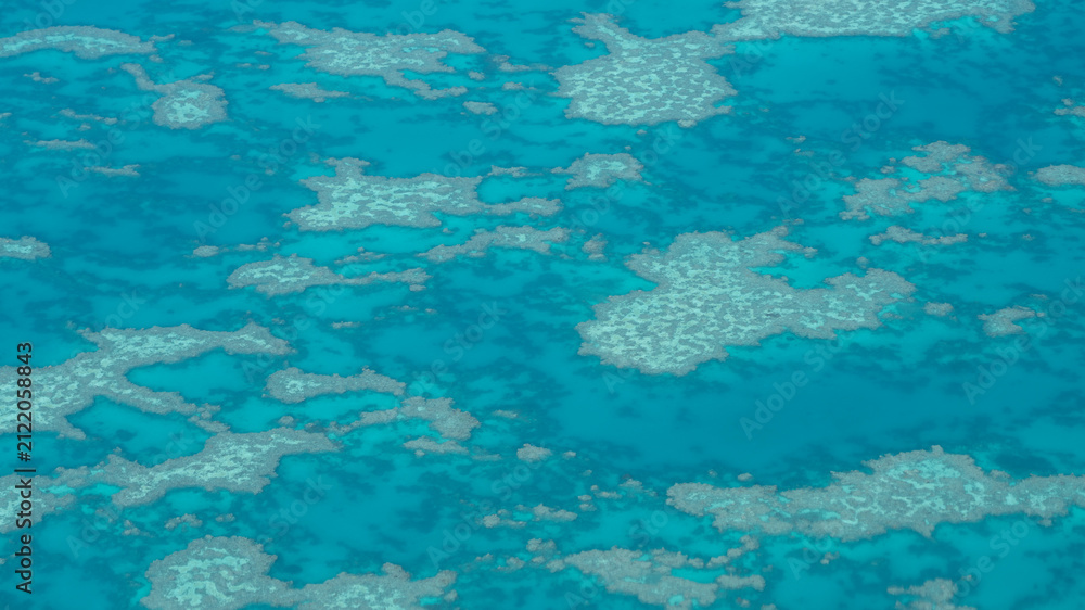 Naklejka premium Aerial view of coral reef in shallow turquoise water