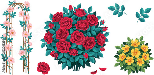 Garden Rose Bush Vector Illustration Set Featuring Climbing Flower Arch, Red Blossom Shrub, Yellow Rose Bush, and Isolated Petal Elements