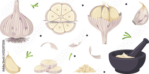 Garlic vector illustration set with whole bulb halves individual cloves slices mortar and pestle paste and seasoning spices for culinary design